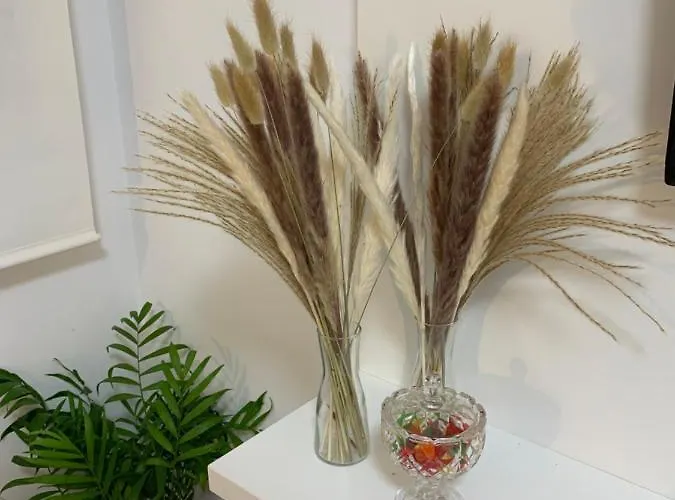 Medina Azahara * קורדובה